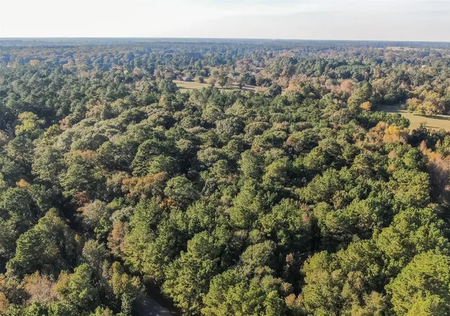2nd image of Tbd Hwy 150, New Waverly, TX 77358 | MLS# 21063701