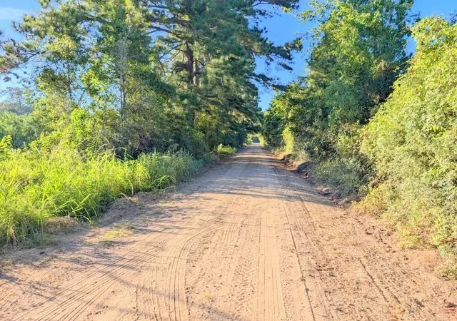 Homes for sale in Lovelady, TX | Tbd County Road 3385, Lovelady, TX 75851 | MLS# 91278365