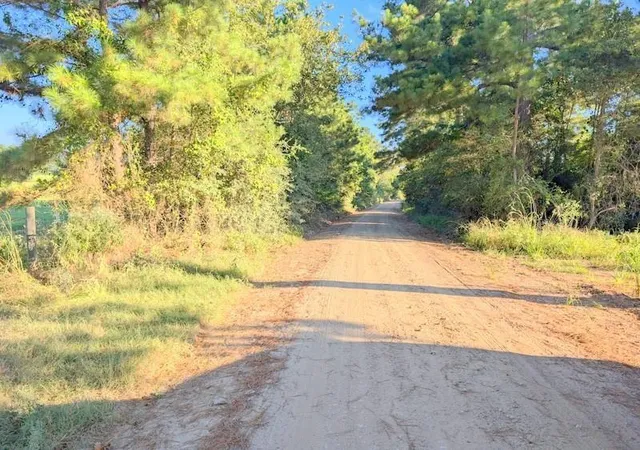 Homes for sale in Lovelady, TX | Tbd County Road 3385, Lovelady, TX 75851 | MLS# 91278365