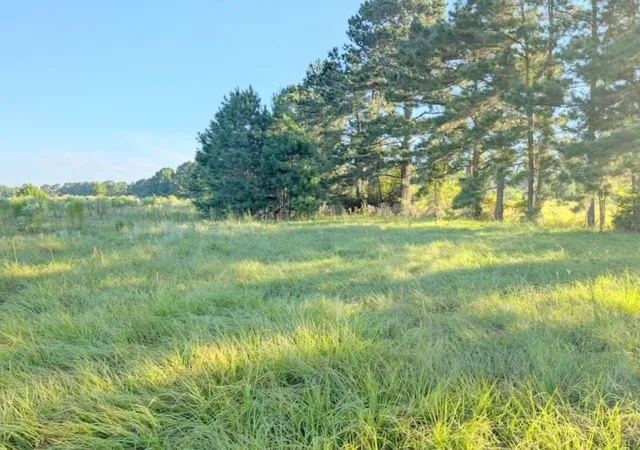 Homes for sale in Lovelady, TX | Tbd County Road 3385, Lovelady, TX 75851 | MLS# 91278365