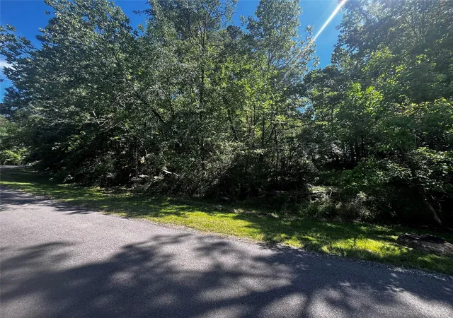 Photo 3 of Land for sale at 70 Wentworth Ln, Coldspring, TX 77331 | MLS# 36598821 | Listing updated on 2026-05-04