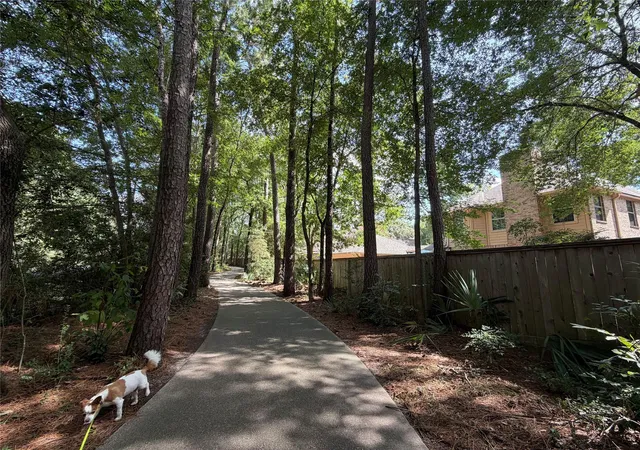44th image of 26 Cinnamon Teal Pl, Spring, TX 77382 | MLS# 28651570