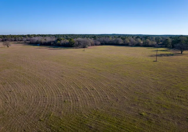 20th image of Tbd Dickey Loop, Huntsville, TX 77320 | MLS# 28077176