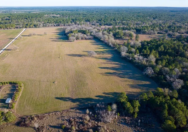 2nd image of Tbd Dickey Loop, Huntsville, TX 77320 | MLS# 28077176
