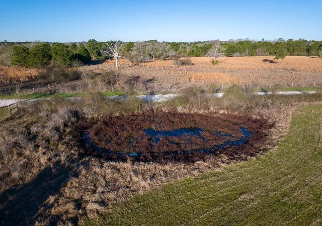Photo 3 of Land for sale at Tbd Dickey Loop, Huntsville, TX 77320 | MLS# 28077176 | Listing updated on 2026-04-28