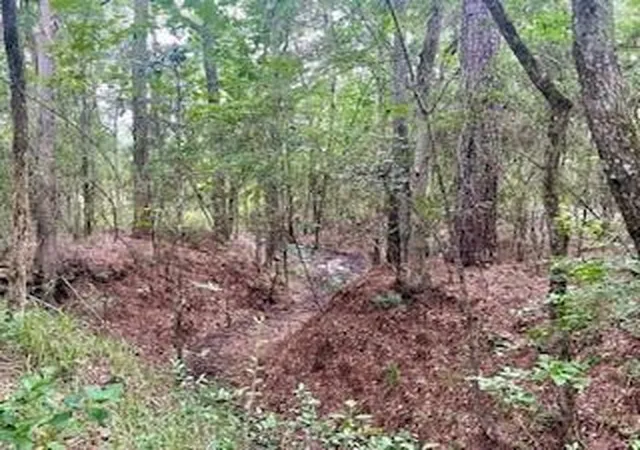 Photo 2 of Land for sale at Lot 8 Block 22 Lonestar Rd, Huntsville, TX 77340 | MLS# 80260723 | Listing updated on 2026-08-11