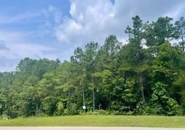 Photo 3 of Land for sale at Lot 8 Block 22 Lonestar Rd, Huntsville, TX 77340 | MLS# 80260723 | Listing updated on 2026-08-11