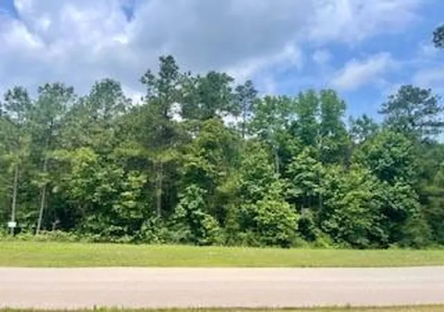 Photo 4 of Land for sale at Lot 8 Block 22 Lonestar Rd, Huntsville, TX 77340 | MLS# 80260723 | Listing updated on 2026-08-11