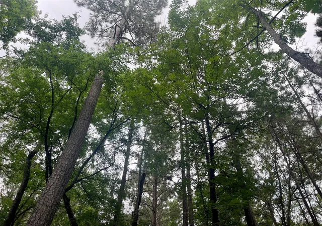 Photo 9 of Land for sale at Lot 8 Block 22 Lonestar Rd, Huntsville, TX 77340 | MLS# 80260723 | Listing updated on 2026-08-11