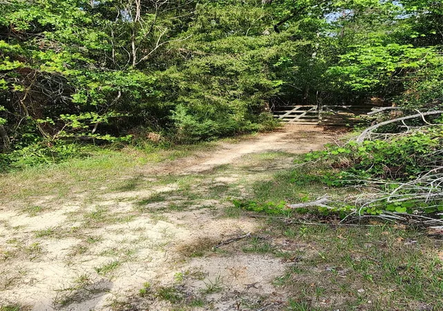 16th image of Tbd Ward Rd, Cleveland, TX 77328 | MLS# 19713221