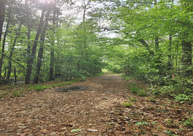2nd image of Tbd Ward Rd, Cleveland, TX 77328 | MLS# 19713221