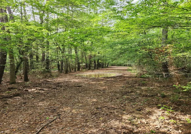 3rd image of Tbd Ward Rd, Cleveland, TX 77328 | MLS# 19713221