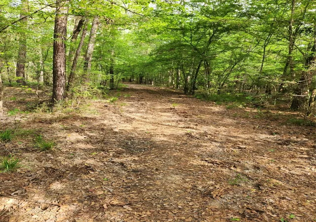 4th image of Tbd Ward Rd, Cleveland, TX 77328 | MLS# 19713221