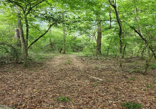 5th image of Tbd Ward Rd, Cleveland, TX 77328 | MLS# 19713221