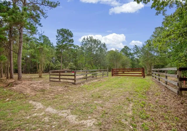 Photo 2 of Land for sale at Tbd Lot 1 County Rd 302, Plantersville, TX 77363 | MLS# 25338603 | Listing updated on 2026-06-21