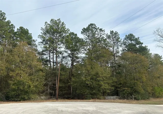 5th image of 19043 Miranda Dr, Cleveland, TX 77328 | MLS# 52561363