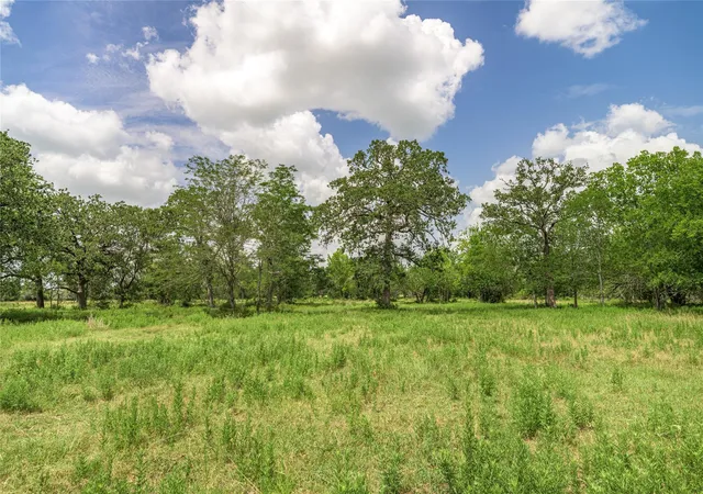 Homes for sale in Round Top, TX | 6700 Wahalla Rd, Round Top, TX 78954 | MLS# 31729865