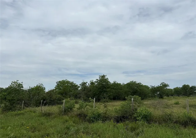 Photo 3 of Land for sale at Tbd Brumbelow Rd, Needville, TX 77461 | MLS# 96059363 | Listing updated on 2026-09-02