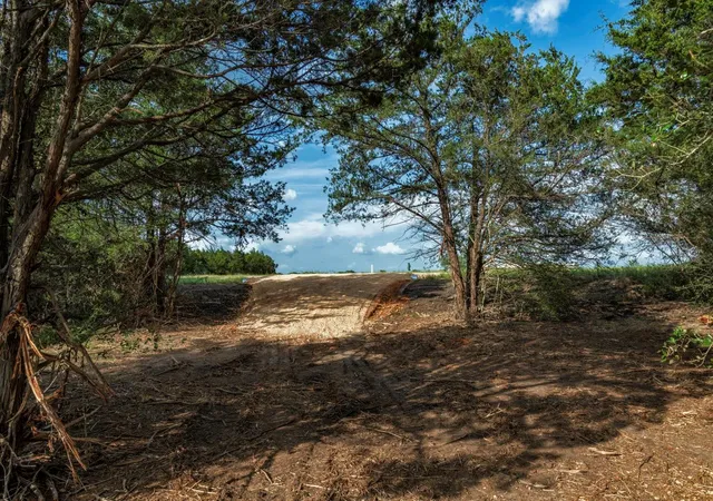 12th image of 405 Vineyard View Trail   Lot 5, Carmine, TX 78932 | MLS# 7819778