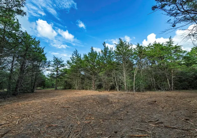 1st image of 405 Vineyard View Trail   Lot 5, Carmine, TX 78932 | MLS# 7819778