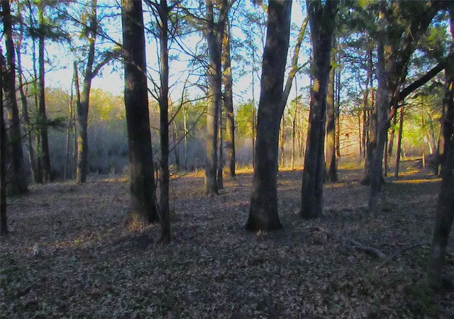 Photo 3 of Land for sale at Tbd County Rd 4736, Cumby, TX 75433 | MLS# 69569443 | Listing updated on 2026-05-26