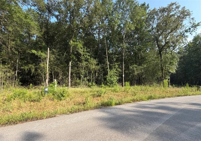 Photo 1 of Land for sale at 209 County Rd 6311, Dayton, TX 77535 | MLS# 29886093 | Listing updated on 2026-06-22