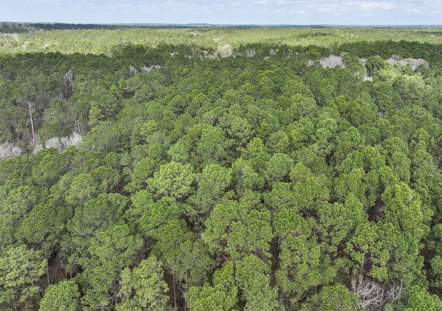 32nd image of 5701 Hwy 190 W, Pointblank, TX 77364 | MLS# 11203520