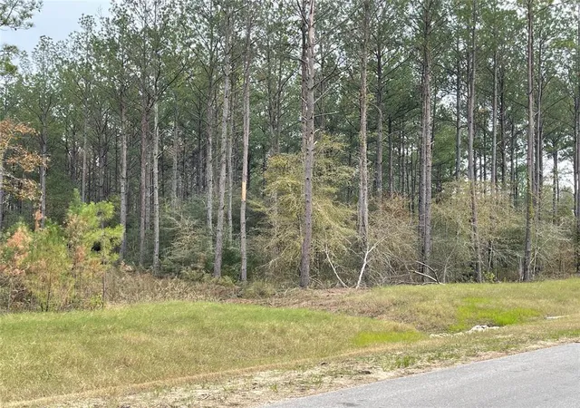 Photo 3 of Land for sale at 15682 Wooded Trail Way, Willis, TX 77378 | MLS# 38249712 | Listing updated on 2026-10-08