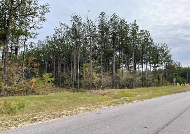 Photo 4 of Land for sale at 15682 Wooded Trail Way, Willis, TX 77378 | MLS# 38249712 | Listing updated on 2026-10-08
