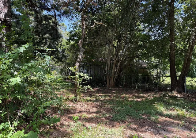 4th image of Lot 1 Easy St, Magnolia, TX 77355 | MLS# 6063485