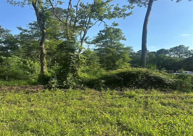 1st image of Tbd Little Ln, Shepherd, TX 77371 | MLS# 10230625
