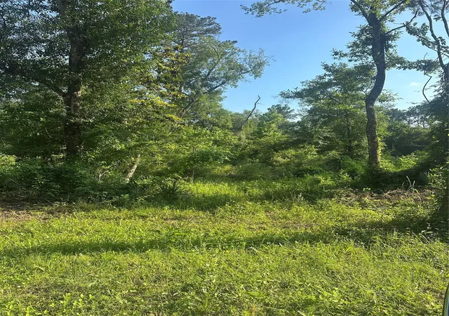 2nd image of Tbd Little Ln, Shepherd, TX 77371 | MLS# 10230625
