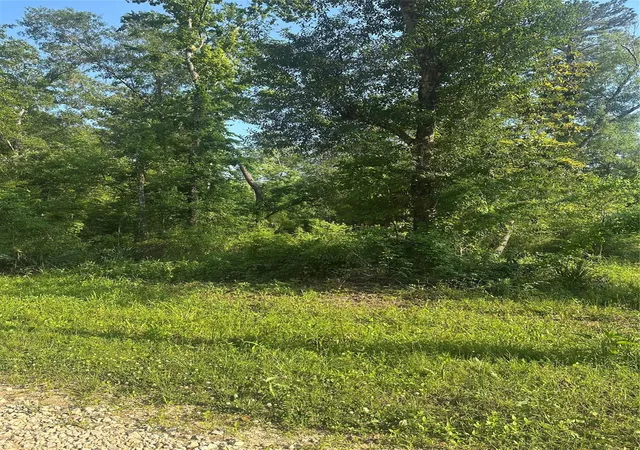 Photo 3 of Land for sale at Tbd Little Ln, Shepherd, TX 77371 | MLS# 10230625 | Listing updated on 2026-05-15