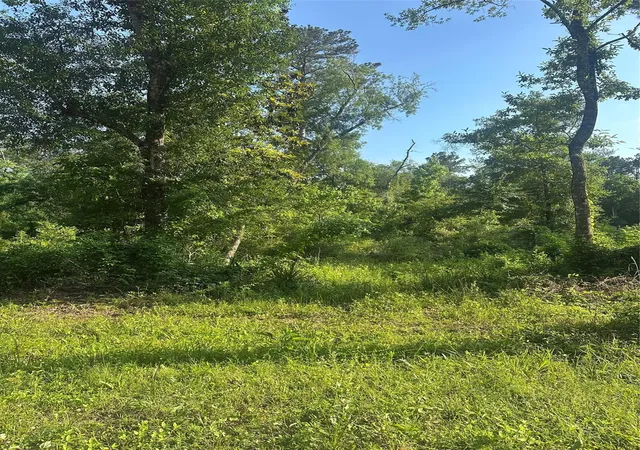 Photo 3 of Land for sale at Tbd Little Ln, Shepherd, TX 77371 | MLS# 10230625 | Listing updated on 2026-05-15