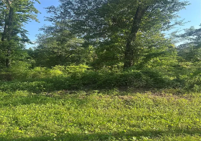 Photo 4 of Land for sale at Tbd Little Ln, Shepherd, TX 77371 | MLS# 10230625 | Listing updated on 2026-05-15