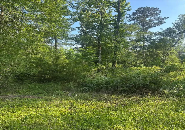 8th image of Tbd Little Ln, Shepherd, TX 77371 | MLS# 10230625
