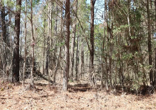 3rd image of 8-2 N Hwy 356, Onalaska, TX 77360 | MLS# 24430164