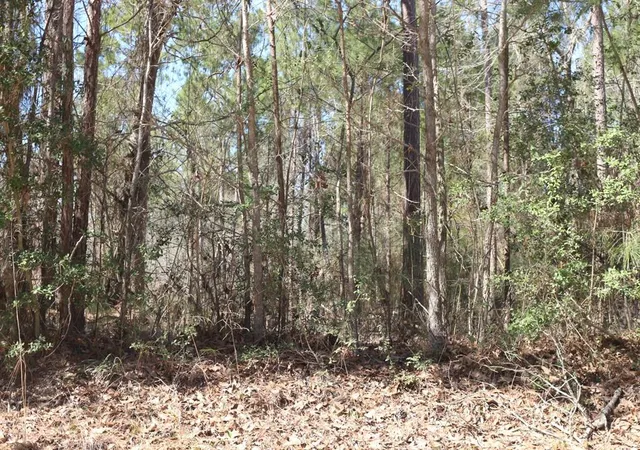 4th image of 8-2 N Hwy 356, Onalaska, TX 77360 | MLS# 24430164