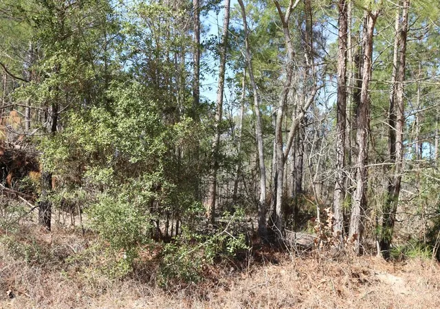 5th image of 8-2 N Hwy 356, Onalaska, TX 77360 | MLS# 24430164