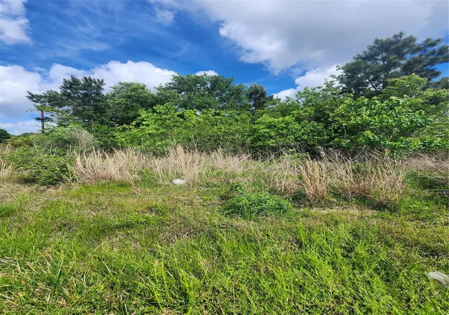 Photo 3 of Land for sale at 1117 County Rd 3556, Cleveland, TX 77327 | MLS# 84771706 | Listing updated on 2026-04-13