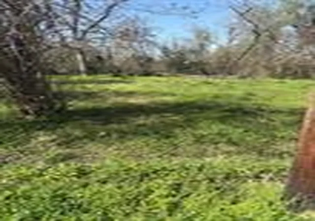 Photo 4 of Land for sale at 1043 Lincoln St, Beaumont, TX 77701 | MLS# 44180668 | Listing updated on 2026-06-29