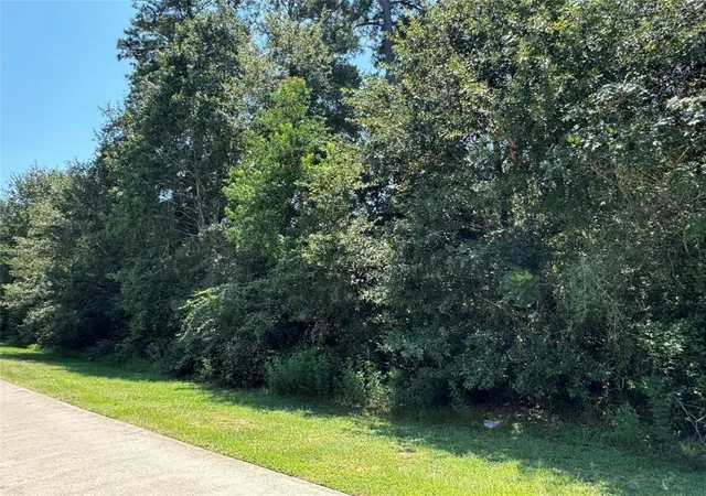 Photo 3 of Land for sale at 11827 Tara Plantation Dr, Tomball, TX 77375 | MLS# 84883904 | Listing updated on 2026-05-18