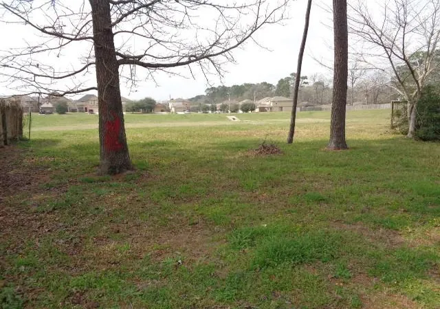 22nd image of 16746 Fallen Timbers Dr, Conroe, TX 77385 | MLS# 28035412