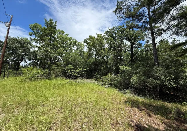 Homes for sale in Huntsville, TX | Tbd Arrow Head Lot 269 Ln, Huntsville, TX 77320 | MLS# 44862670