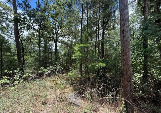 Homes for sale in Huntsville, TX | Tbd Arrow Head Lot 269 Ln, Huntsville, TX 77320 | MLS# 44862670