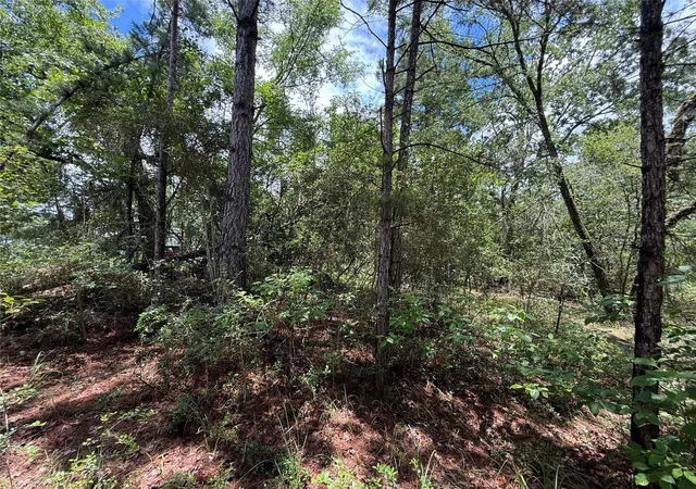 Homes for sale in Huntsville, TX | Tbd Arrow Head Lot 269 Ln, Huntsville, TX 77320 | MLS# 44862670