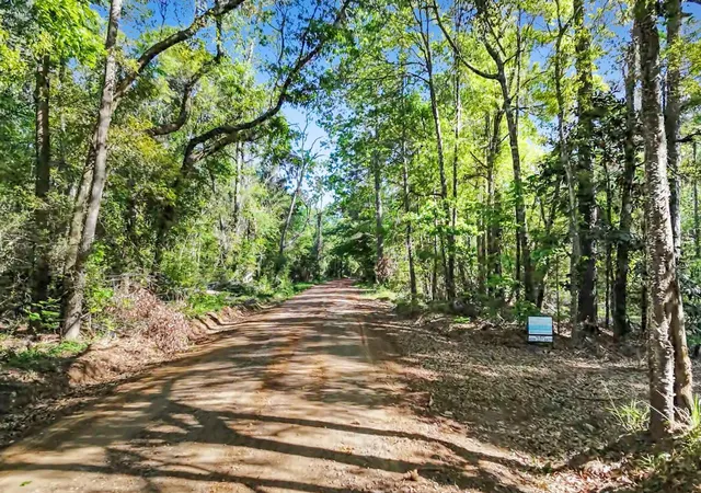 Homes for sale in Kirbyville, TX | 0000 County Road 425, Kirbyville, TX 75956 | MLS# 20647920