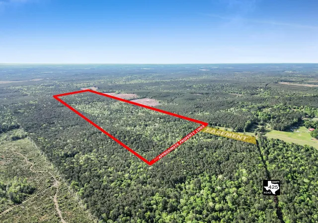 Homes for sale in Kirbyville, TX | 0000 County Road 425, Kirbyville, TX 75956 | MLS# 20647920