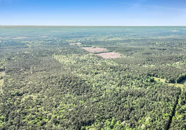 Homes for sale in Kirbyville, TX | 0000 County Road 425, Kirbyville, TX 75956 | MLS# 20647920