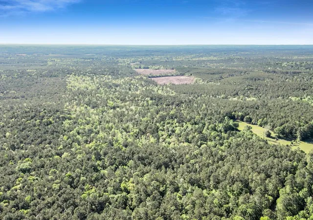 Homes for sale in Kirbyville, TX | 0000 County Road 425, Kirbyville, TX 75956 | MLS# 20647920